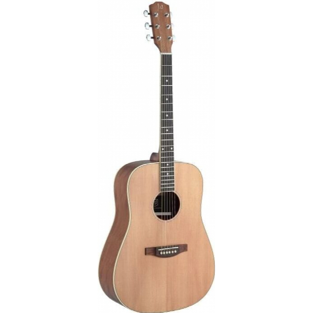 J.n Guitars Asy-d