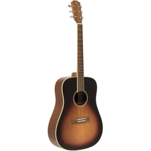 J.n Guitars Ezr-d