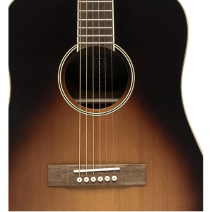 J.n Guitars Ezr-d
