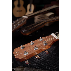 J.n Guitars Asy-a Lh