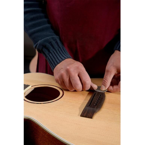 J.n Guitars Asy-a Mini