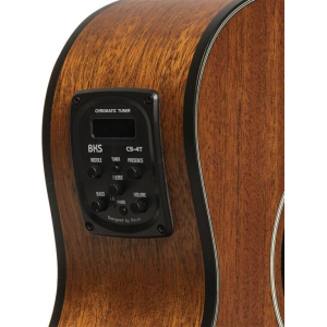 J.n Guitars Olo-ce N