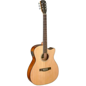 J.n Guitars Bes-ace N