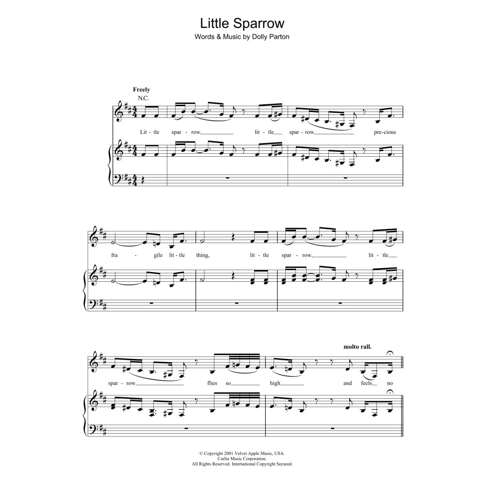 Little Sparrow