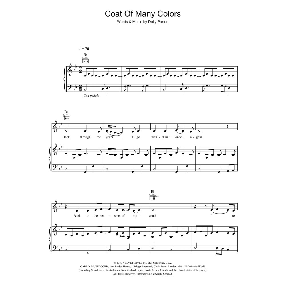 Coat Of Many Colors