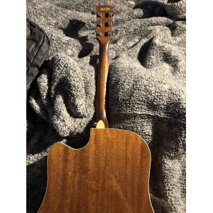 Folk electro-acoustique Ibanez