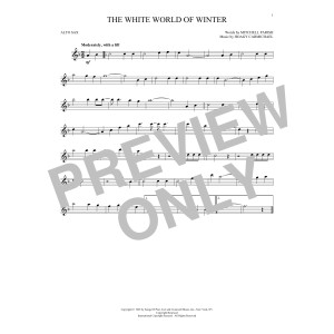 The White World Of Winter