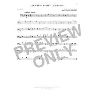 The White World Of Winter