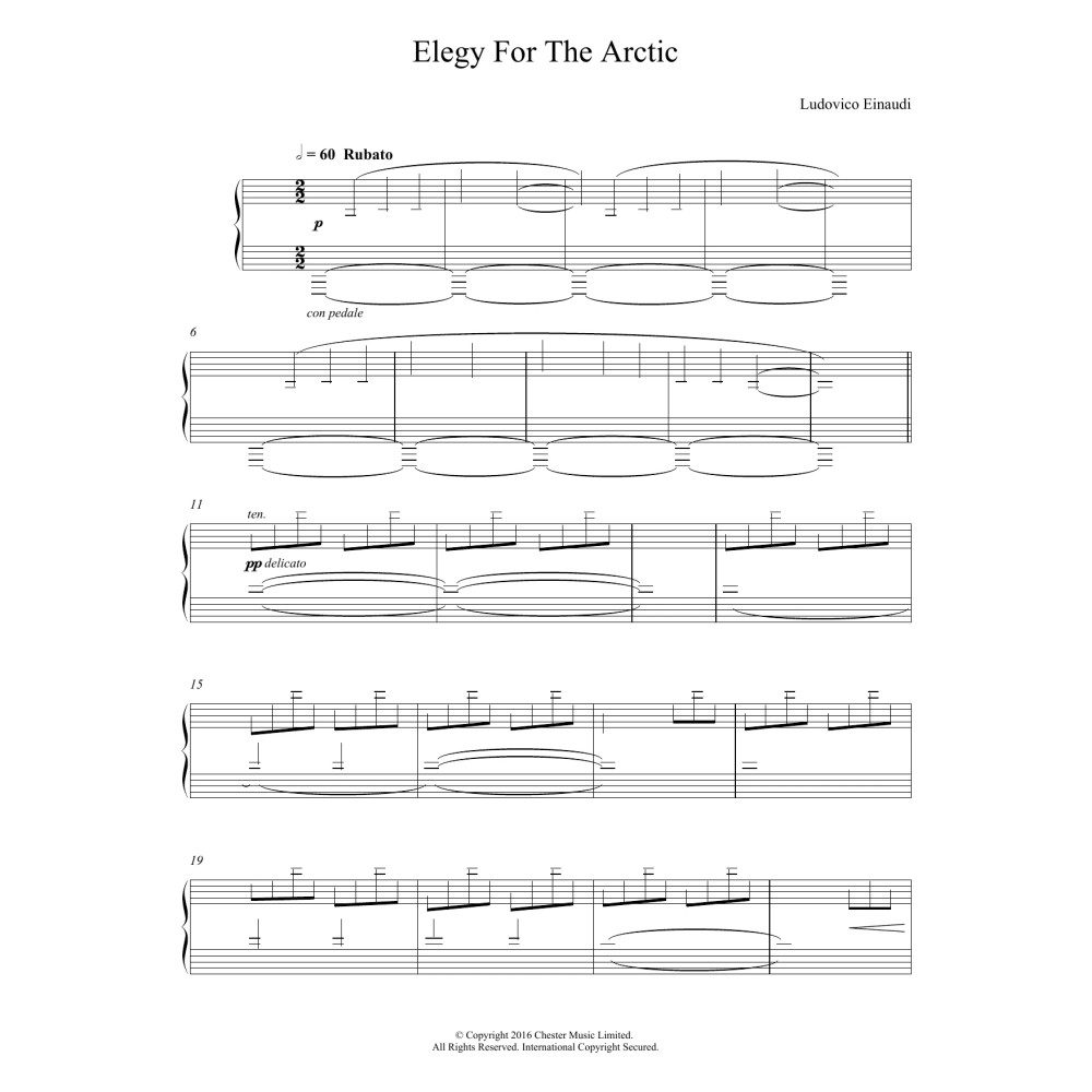Elegy For The Arctic