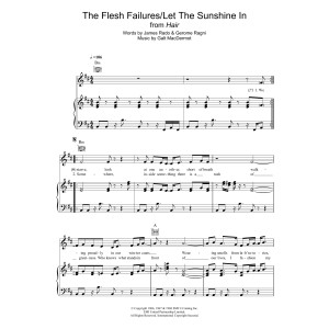 The Flesh Failures/Let The Sunshine In (from 'Hair')