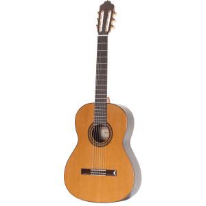 Esteve 6ps Guitar