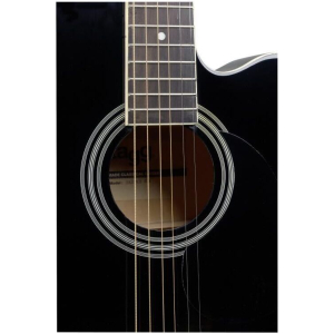 Stagg Sa20ace Blk