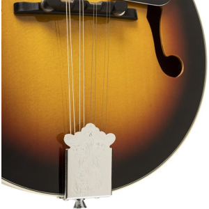 Stagg M20 S