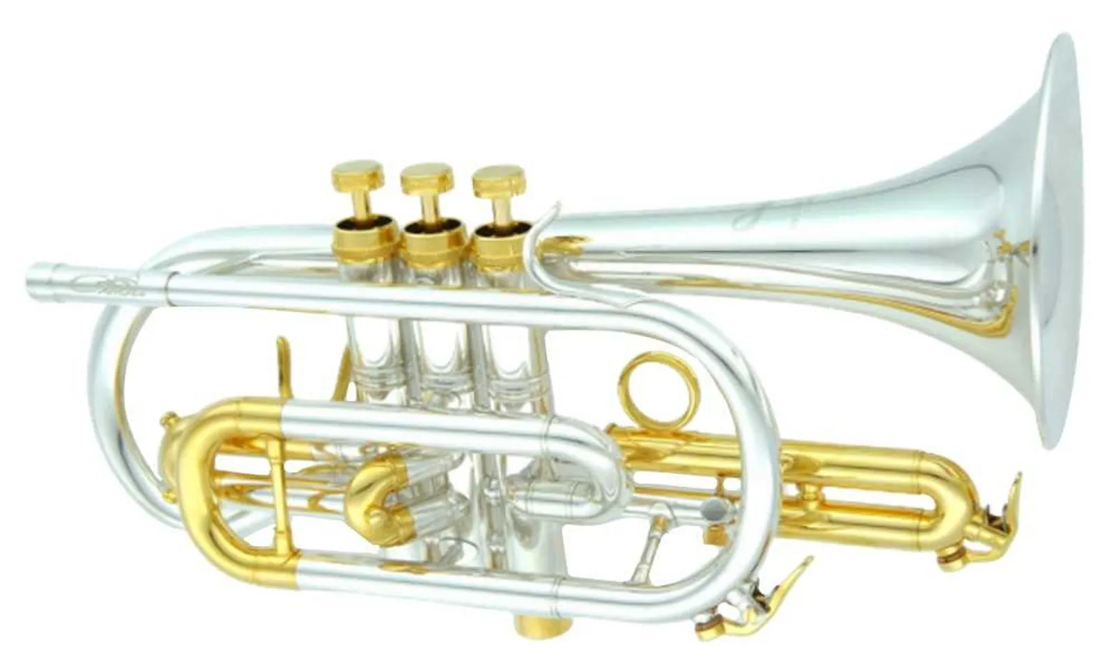 Gama de trompetas CarolBrass
