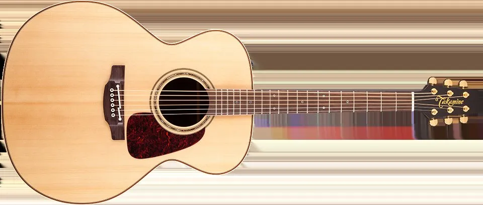 Takamine Pro Series 5 - Guitare haut de gamme japonaise