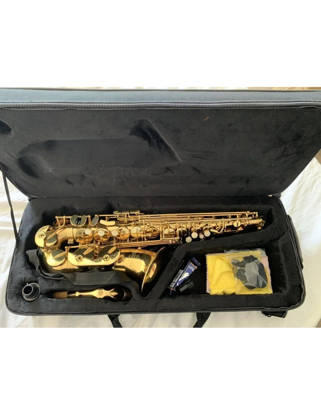 Saxophone alto à entretenir Saxophone alto à entretenir